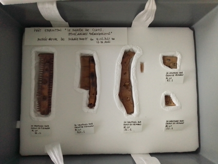 Photo du conditionnement des 5 peignes dans la caisse de transport. Chaque peigne se situe dans un compartiment en mousse adapté à sa forme. 