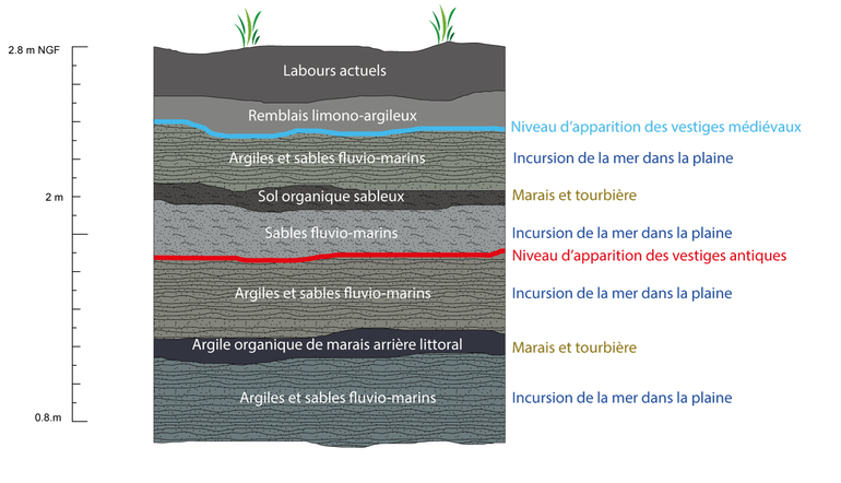 schéma stratigraphique