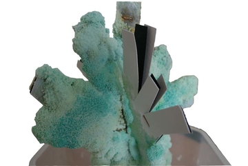 photographie d'un détail de la christalisation du sel sur un arbre en papier