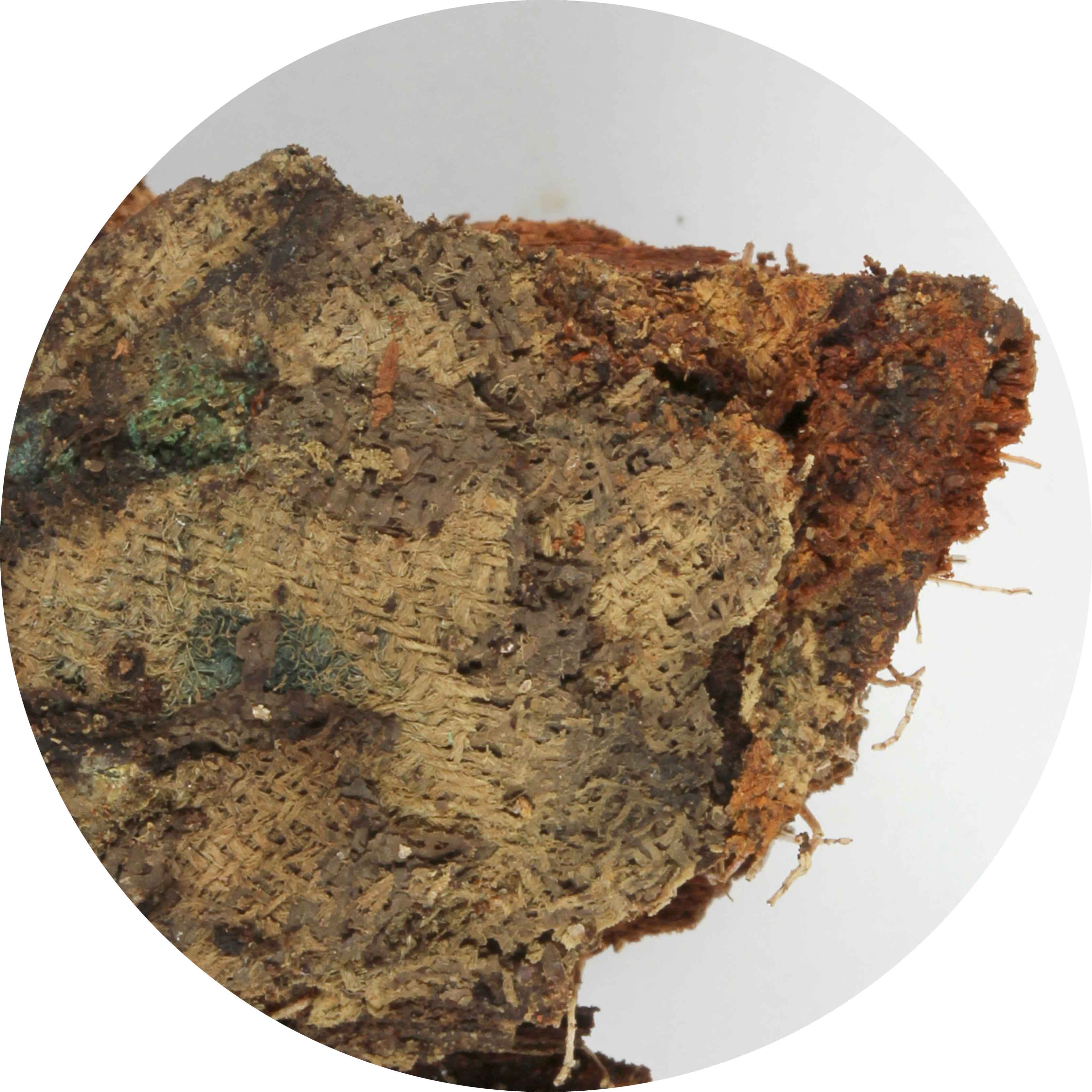 Détail d'un linceul