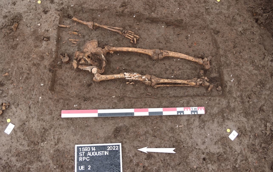 Membres inférieur et bassin d'un squelette.