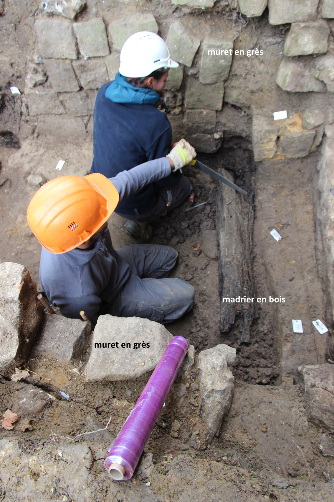 Prélèvement de bois en vue d'une datation