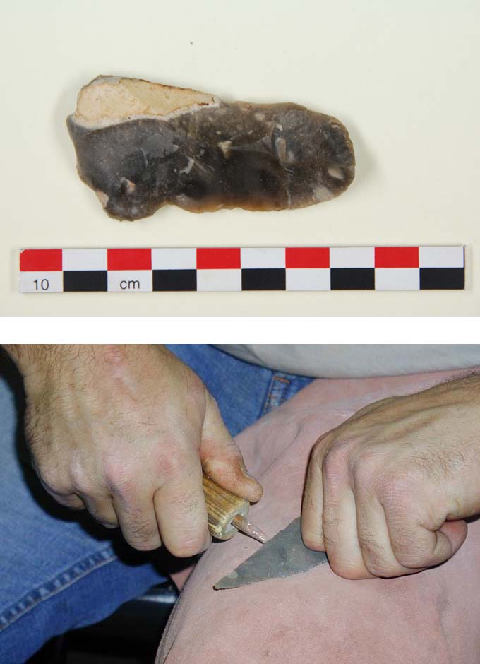 Lame de silex découverte sur le site