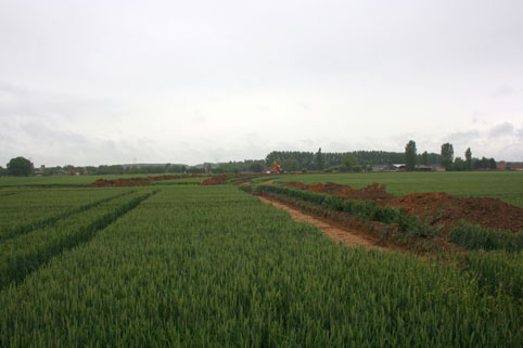 Champs à Aire-sur-la-Lys