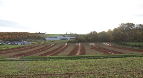 vue générale du diagnostic