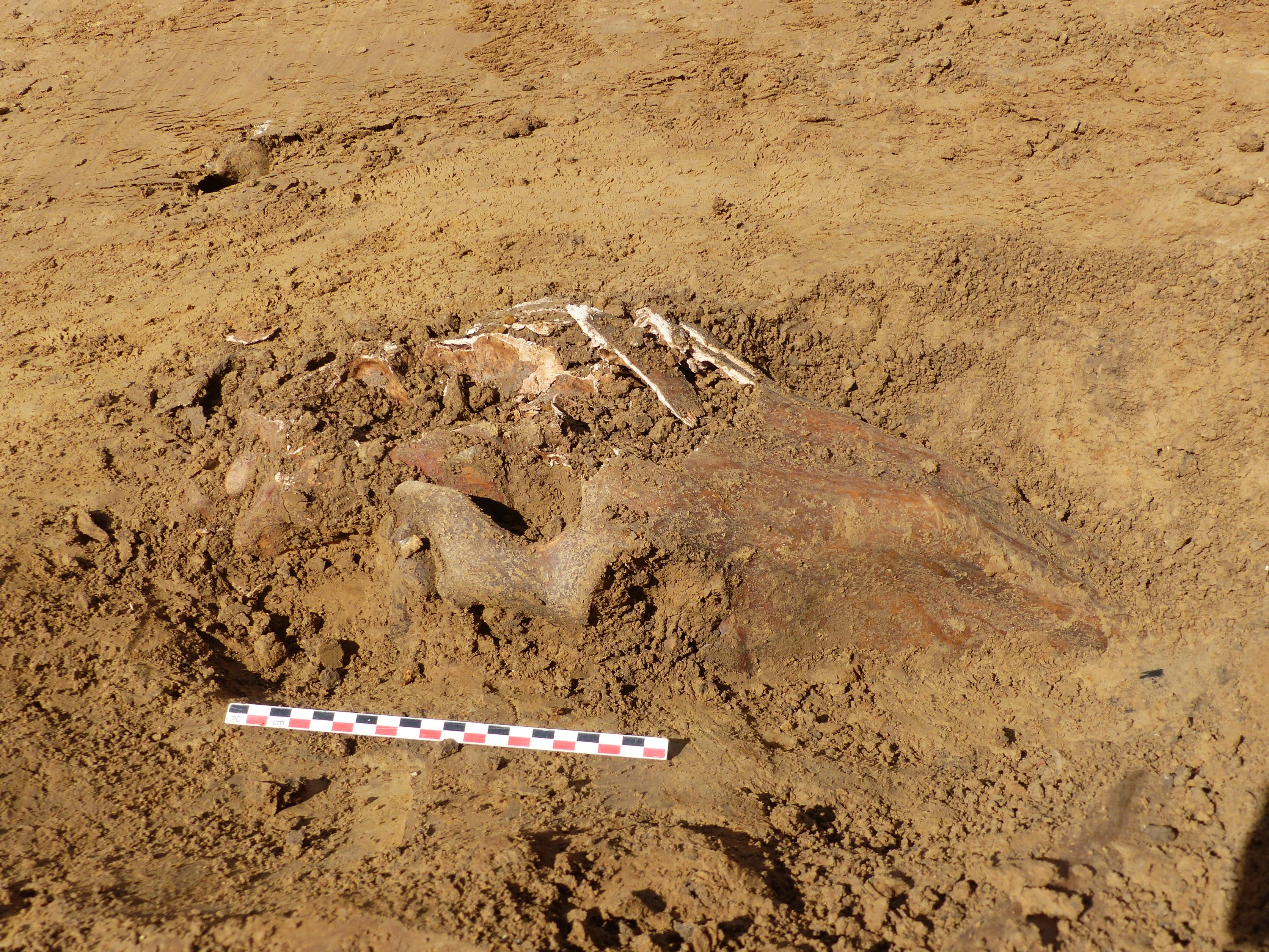 Diagnostic du terrain